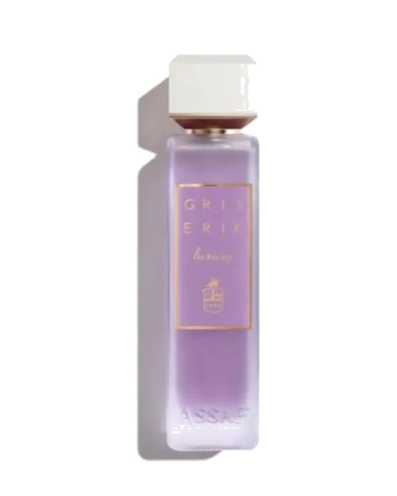 Flacon Assaf Gris Erik 200 ml